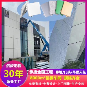 单板建筑外墙工程装饰异形户外冲孔铝板幕墙材料